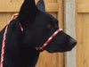 8mm dia. The most popular size of KJK rope & braid lead. Strong enough for all breeds and a nice size to handle. Perfect pocket size lead, whether it's a clip or slip. These leads are used and recommended by dog trainers and behaviourist. #ropedogleads #ropeleads #dogleads #kjkropedogleads #dogtraining #gundogtraining #policedogtraining
