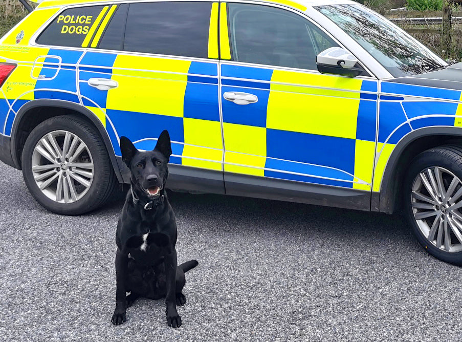 KJK Ropeworks 10mm Diameter Rope Tracking Line (can be halved in length)