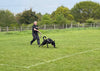 Our rope and braid dog tracking lines are perfect for working dogs or training where your dog has some freedom but is limited to the length of the line. Our tracking lines are used by police dog handlers, trainers and HM customs. #policedog #dogtraining #policedogtraining #workingdogs #dogtrackinglines #dogleads #ropedogleads #kjkropeworks #kjkropedogleads #dogtrainingleads #policedogs #madeinuk