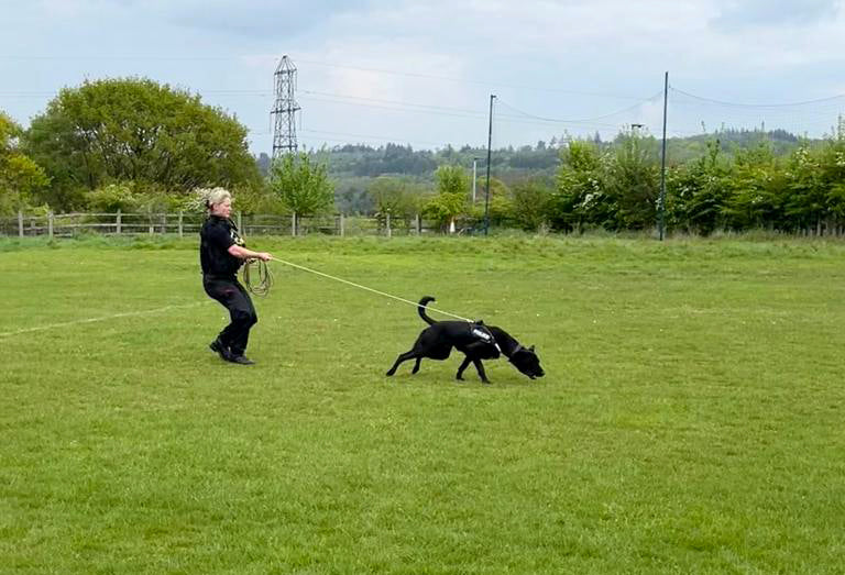 KJK Ropeworks 10mm Diameter Rope Tracking Line (can be halved in length)